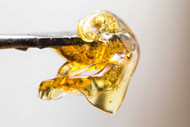 Rosin Vs. Resin: How are the Concentrates Different and Which One is Better?