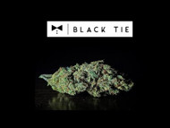 The Smoke Doctor’s Review of BubbleGum Special Reserve (Indoor): Black Tie CBD Exclusive