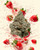 Strawberry Strudel (INDOOR) THC-A Bud