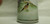 12" Japanese BOTAN Porcelain Vase w/ Pheasants & Flowers Scenery 