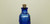 Cobalt Blue Acorn Themed Bottle w/Cork Top