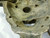RARE Demoniac Pottery Art Mask Mythical  Sculpture 