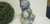 Snow Buddies 11" Figurine "Frostie w/Tree" 