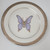  Accent Salad Plate Platinum Buffet by ROYAL GALLERY - Purple Butterfly