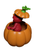 Sesame Street Elmo Halloween Pumpkin Jack-O-Lantern Figurine