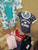 LOT of Girl's Clothes - MSRP $150.00
