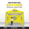 Custom Canopy Tent with Three Back Walls