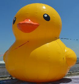 6ft inflatable duck