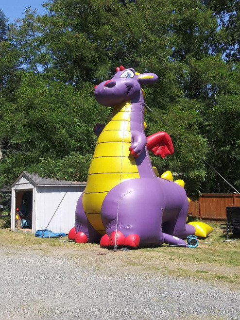 Purple Dragon