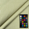 Good Lookin' Stripe CL Sprout Upholstery Fabric by  P Kaufmann