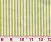 Good Lookin' Stripe CL Sprout Upholstery Fabric by  P Kaufmann