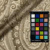 Hera Paisley CL Gazelle Drapery Fabric by Ralph Lauren