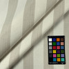 Stratford Stripe CL Linen Drapery Upholstery Fabric by PK Lifestyles (Waverly)