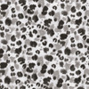 Chit Chat CL Shell Drapery Upholstery Fabric by Kelly Ripa Home and PK Lifestyles (Waverly)