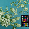 Ashfield Twill Floral CL Mist Drapery Upholstery Fabric by Ralph Lauren