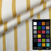 Edgewater Stripe CL Pineapple Drapery Upholstery Fabric by Ralph Lauren
