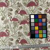 Flamboyance CL Pink Drapery Upholstery Fabric by Regal Fabrics