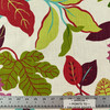 Contessa Petal Upholstery/Drapery Fabric by Braemore
