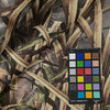 Migration in Camo 1/8" | Foam Backed Headliner And Sew Foam | Camouflage in Tan, Brown, Green, Gray, Khaki | 54 Inch Wide | Heavy Weight Fabric | Polyester / Polyurethane Foam | By The Yard