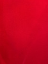 Soleil 35 Red Outdoor Upholstery Fabric by Rioma