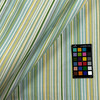 Sierra Cabana Upholstery Fabric by Weavetec