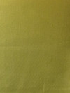 Spectrum Kiwi Outdoor Upholstery Fabric by Sunbrella