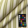 TickTock Tea Tree Outdoor Upholstery Fabric by Ralph Lauren