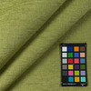 Palio Kiwi Outdoor Fabric by Sunbrella