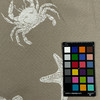 Keywest Driftwood Upholstery/Drapery Fabric by Kravet