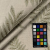 Maud Spring Upholstery/Drapery Fabric by Millcreek/Swavelle