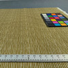 Raya Bouquet 06 | Printed Velvet Upholstery Fabric | Stripes in Green, Grey | Heavyweight | 54" Wide | Rioma | By the Yard
