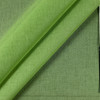Etaminet Verde 08 Sheer Fabric by Rioma