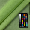 Etaminet Verde 08 Sheer Fabric by Rioma