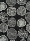 I Need A Dollar 963 Black Pearl Upholstery/Drapery Fabric by Covington