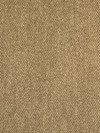 Zetta Club Upholstery/Drapery Fabric by Rioma