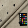 Secret Admirer Carbon Upholstery/Drapery Fabric by Millcreek/Swavelle