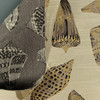 Conch Shell Ecru Upholstery/Drapery Fabric by Paragon Textiles