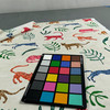 Prance Bloom Upholstery/Drapery Fabric by PK Lifestyles