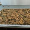 CAMO HARVEST
