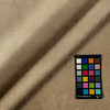 CRAVE CAMEL 8