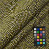 On the spot black with yellow spots