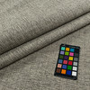MACINTOSH In Color SAGE