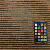 WINDFALL In Color VELVET