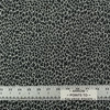 MW1007 In Color 25