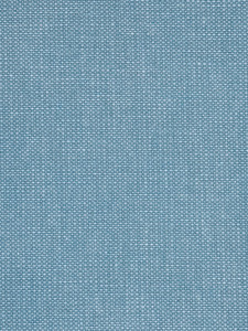 Patagonia Robins Egg Upholstery Fabric