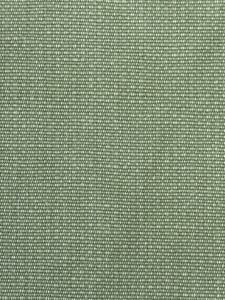 Patagonia Willow Upholstery Fabric