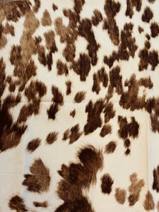 Asmar 03 Upholstery Fabric by Rioma