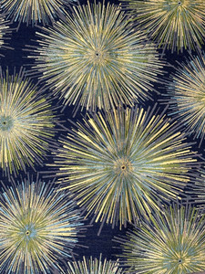 Stargaze Sapphire Upholstery Fabric