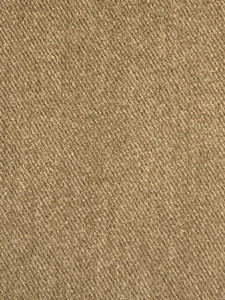 Zetta Club Upholstery/Drapery Fabric by Rioma