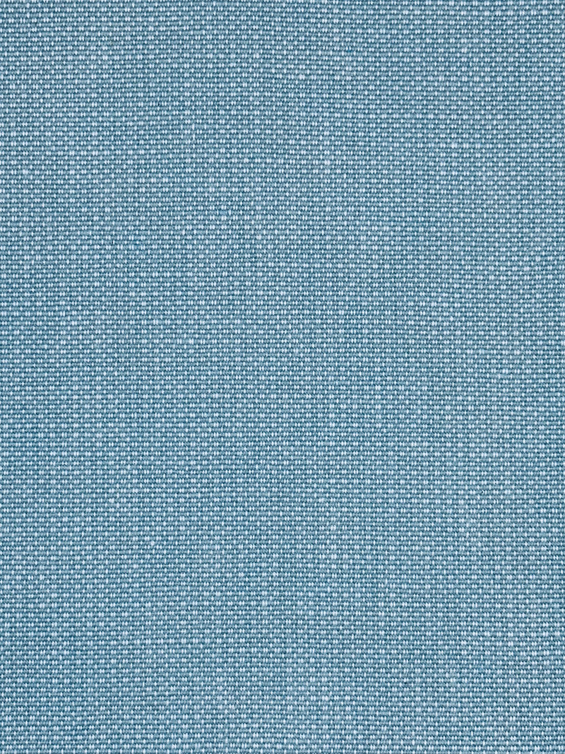 Patagonia Robins Egg Upholstery Fabric